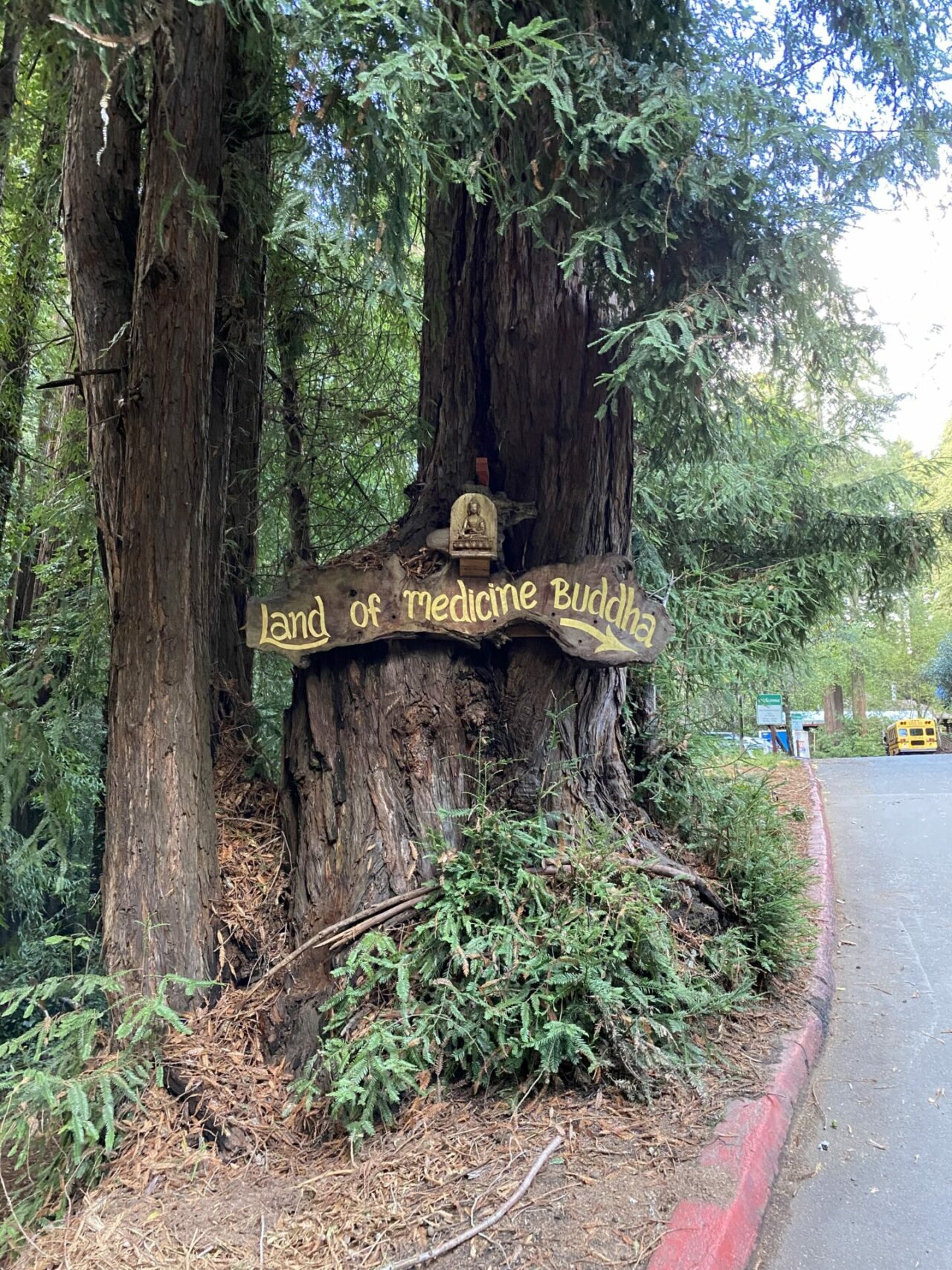 Land of the medicine buddha sign soquel with redwood tree